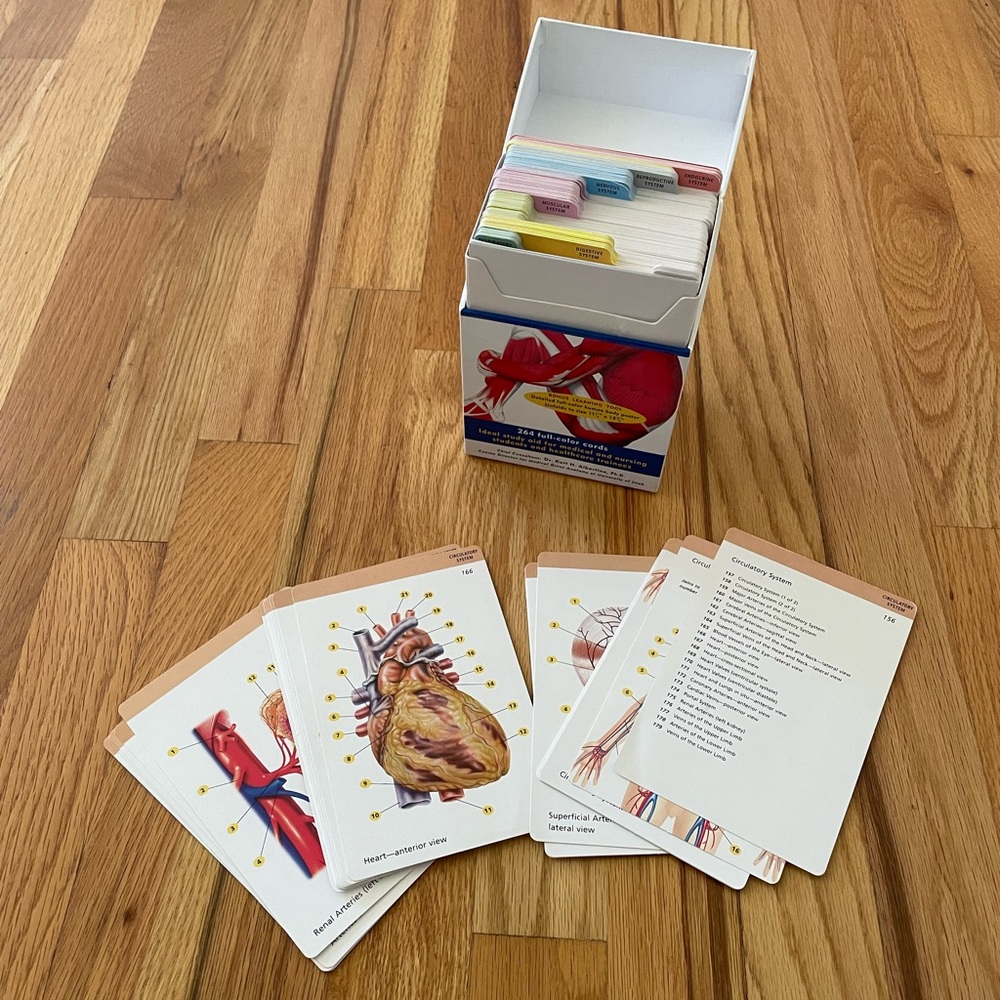 🌷 Barron’s Anatomy Flashcards Set - Multicolor